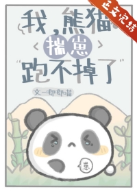 我熊猫不服免费阅读